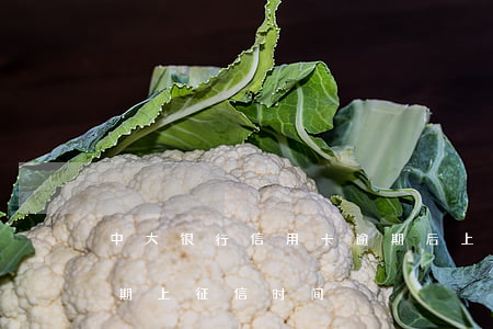 中大银行信用卡逾期后上征信吗(各大银行逾期上征信时间)