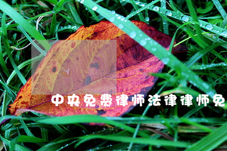 中央免费律师(法律律师免费咨询)