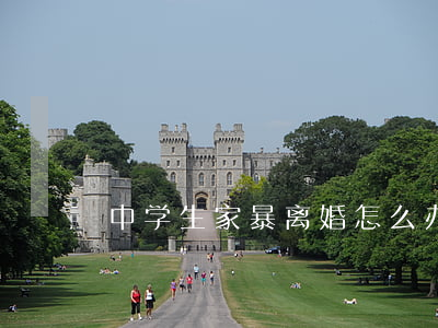 中学生家暴离婚怎么办