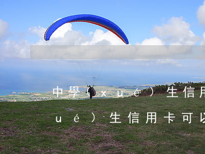中學(xué)生信用卡透支的案例(學(xué)生信用卡可以透支嗎)