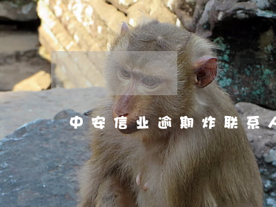 中安信业逾期炸联系人(中金信安结案了么)
