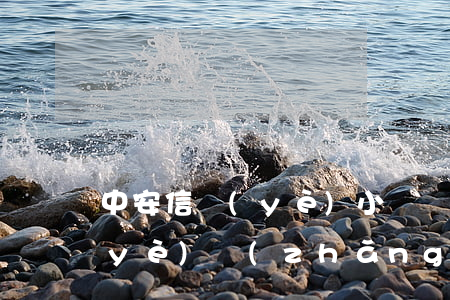 中安信業(yè)小額貸款逾期(中安信業(yè)長(zhǎng)期逾期會(huì)怎樣)