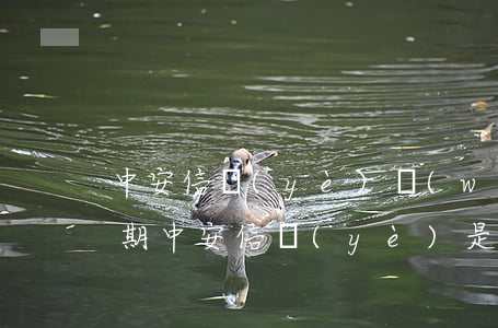 中安信業(yè)網(wǎng)上貸款逾期(中安信業(yè)是正規(guī)網(wǎng)貸公司嗎)