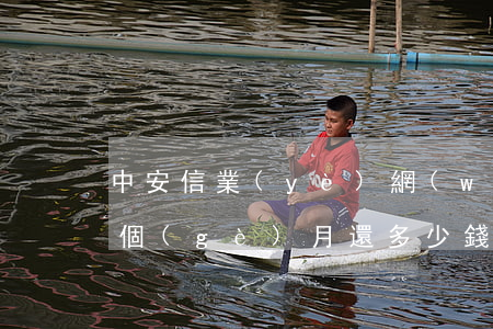 中安信業(yè)網(wǎng)貸逾期一個(gè)月還多少錢-中安信業(yè)網(wǎng)貸逾期一個(gè)月還多少錢啊