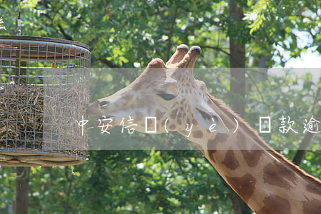 中安信業(yè)貸款逾期一天