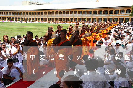 中安信業(yè)貸款逾期怎么辦(中安信業(yè)起訴怎么辦)