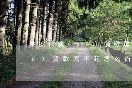 中安信業(yè)貸款還不起(中安信業(yè)貸款還不起怎么辦)
