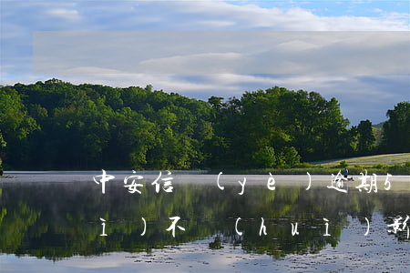 中安信業(yè)逾期500天了會(huì)不會(huì)影響生活（中安信業(yè)逾期三個(gè)月）