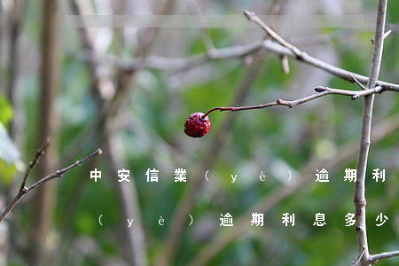 中安信業(yè)逾期利息多少-中安信業(yè)逾期利息多少錢