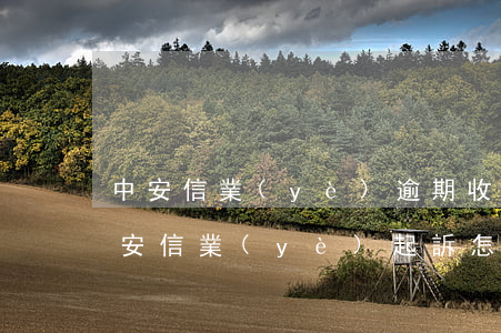 中安信業(yè)逾期收到短信說要起訴 中安信業(yè)起訴怎么辦