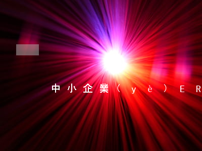 中小企業(yè)ERP成功率該如何提高