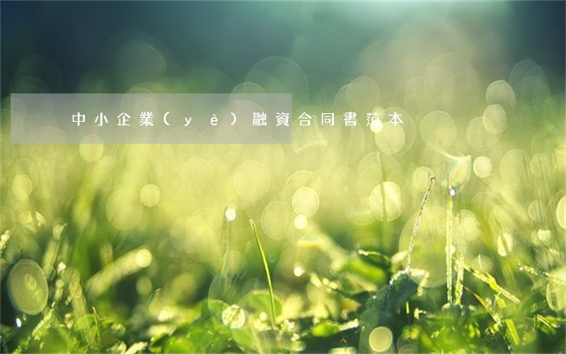中小企業(yè)融資合同書范本