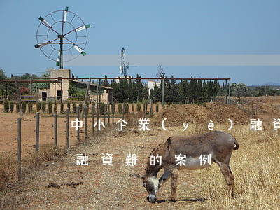 中小企業(yè)融資難(中小企業(yè)融資難的案例)