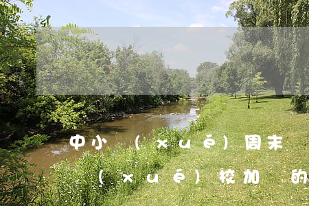 中小學(xué)周末補(bǔ)課違法嗎（學(xué)校加課的舉報(bào)方法有哪些）