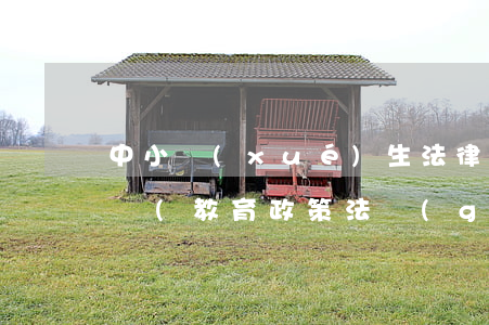 中小學(xué)生法律法規(guī)考題(教育政策法規(guī)試題及答案)