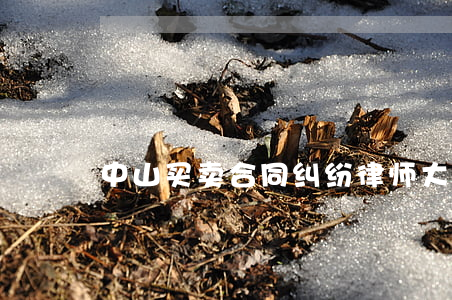 中山买卖合同纠纷律师大概多少钱