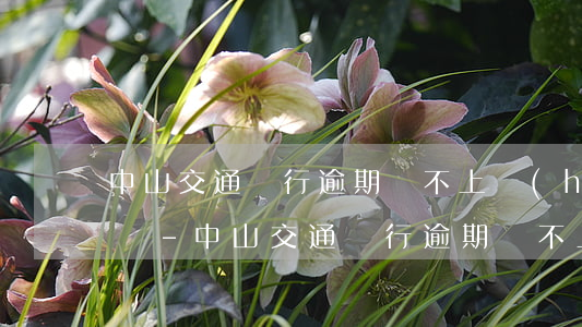 中山交通銀行逾期還不上會(huì)起訴嗎-中山交通銀行逾期還不上會(huì)起訴嗎知乎