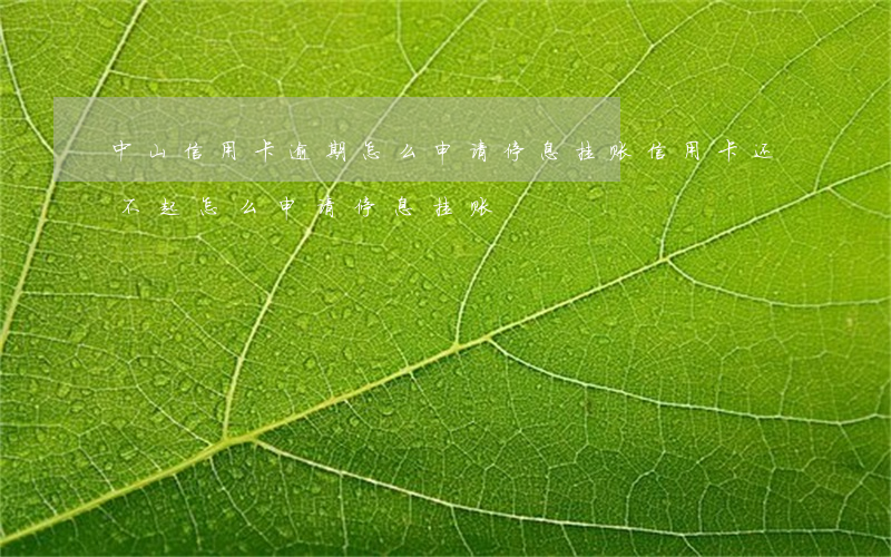 中山信用卡逾期怎么申请停息挂账(信用卡还不起怎么申请停息挂账)