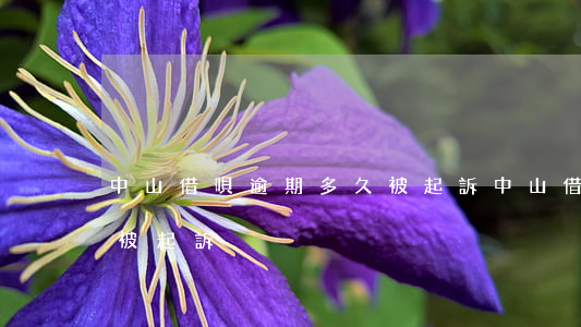 中山借唄逾期多久被起訴(中山借唄逾期多久被起訴)
