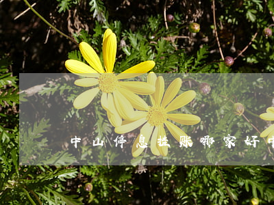 中山停息挂账哪家好(中山的银行)