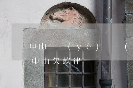 中山專業(yè)債務(wù)委托律師-中山欠款律師