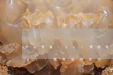 中山專業(yè)債務追討律師(中山專業(yè)債務追討律師)