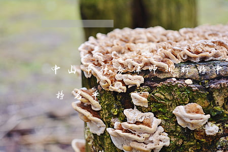 中山市债务律师排行榜(中山市债务律师排行榜名单)