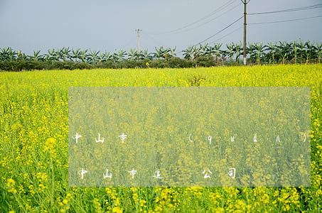 中山市債權(quán)債務律師費用多少(中山市追債公司)