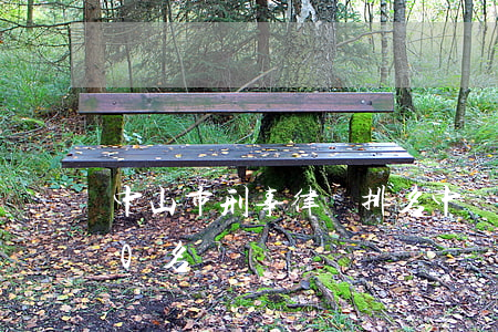 中山市刑事律師排名(中國著名刑事律師前10名)