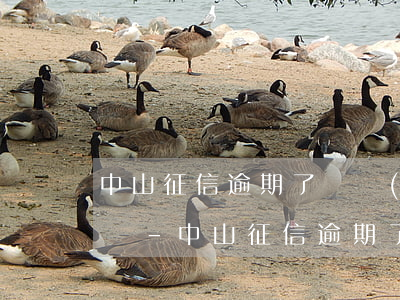 中山征信逾期了暫時(shí)還不上怎么辦-中山征信逾期了暫時(shí)還不上怎么辦呢