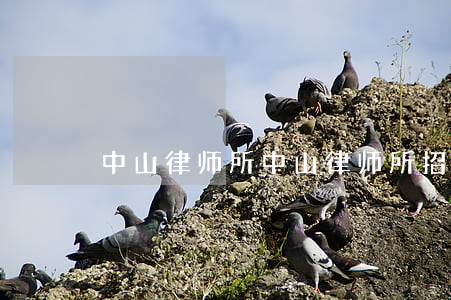 中山律师所(中山律师所招聘)