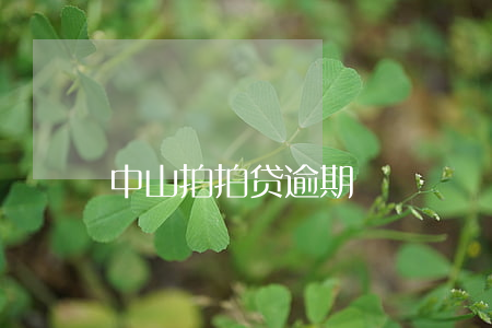 中山拍拍贷逾期
