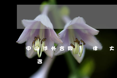 中山涉外合同糾紛律師大概多少錢(中山市律師咨詢)