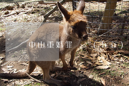 中山重婚罪辯護(hù)律師(中山合同律師)