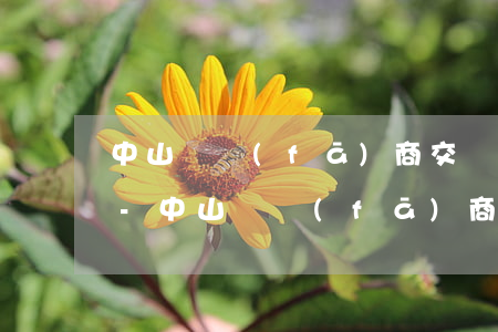 中山開發(fā)商交樓逾期超過180天-中山開發(fā)商交樓逾期超過180天怎么辦