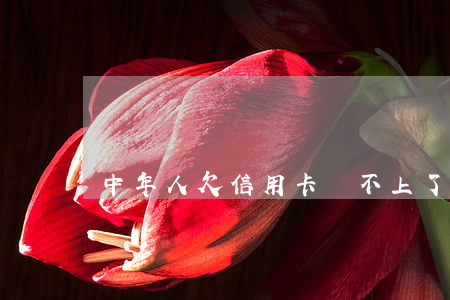 中年人欠信用卡還不上了怎么辦-