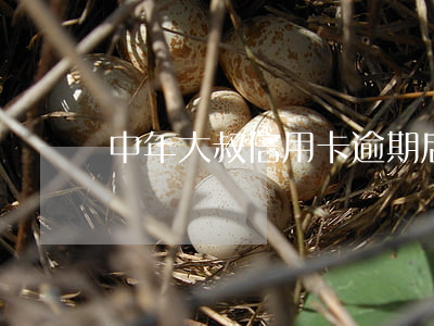 中年大叔信用卡逾期后果(很多人信用卡逾期)