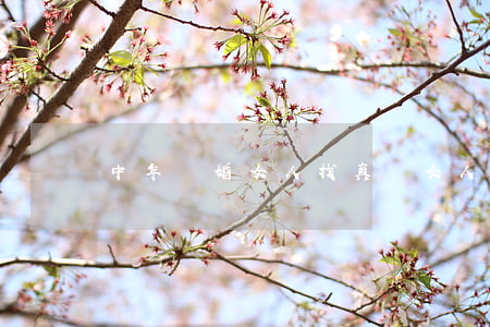 中年離婚女人找真愛(女人到中年離婚了怎么辦)