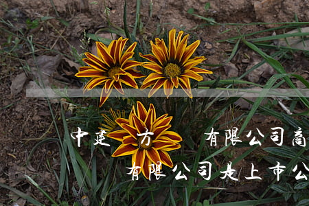 中建東方裝飾有限公司商票逾期-中建東方裝飾有限公司是上市公司嗎