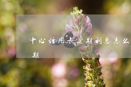 中心信用卡逾期利息怎么算(怎樣算信用卡逾期)