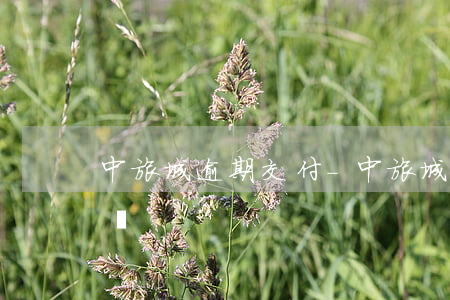 中旅城逾期交付-中旅城交付問(wèn)題