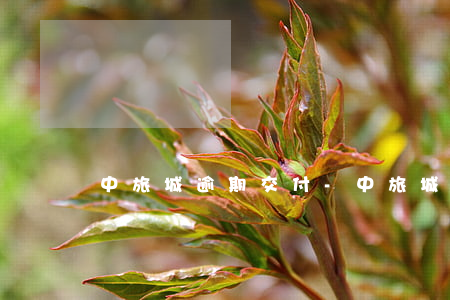 中旅城逾期交付-中旅城交付問題