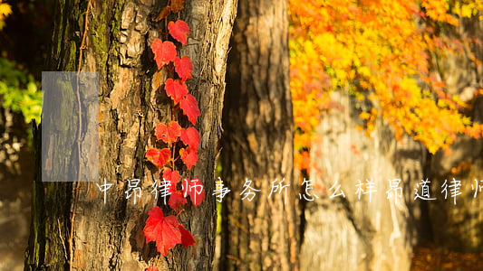 中昂律师事务所怎么样(昂道律师事务所现状)