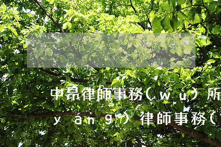 中昂律師事務(wù)所怎么樣(廣東昂揚(yáng)律師事務(wù)所怎么樣)