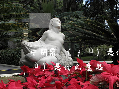 中期票據(jù)是什么意思(中期票據(jù)是什么意思)