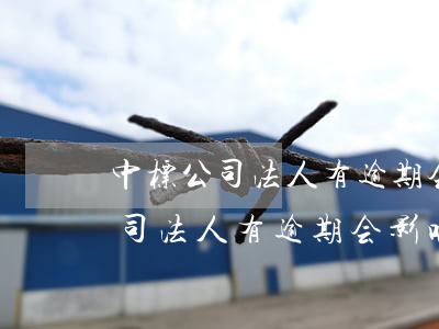 中标公司法人有逾期会影响中标吗-中标公司法人有逾期会影响中标吗知乎