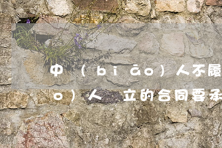 中標(biāo)人不履行與招標(biāo)人訂立的合同要承擔(dān)什么責(zé)任