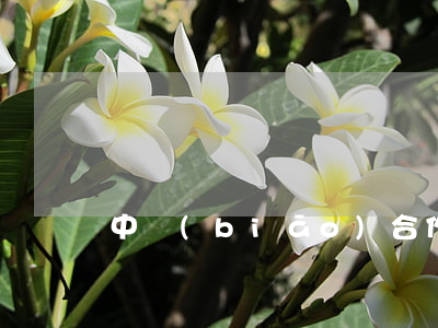 中標(biāo)合作協(xié)議