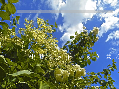 中標(biāo)雙方的責(zé)任