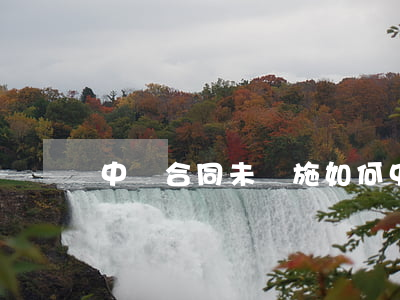 中標合同未實施如何中止